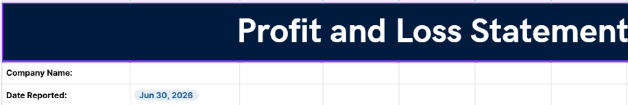 Profit & Loss Statement Template | Business Income & Expense Tracker | Gross Margin & Gross Profit Calculator | Instant Download