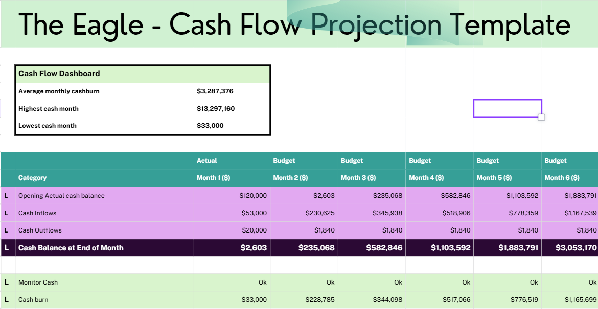 Cash Flow Forecast Spreadsheet | Cash Flow Template | Designed by an Accountant | Excel & Google Sheets | Instant Download